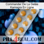 Commander De La Gelée Kamagra En Ligne levitra1